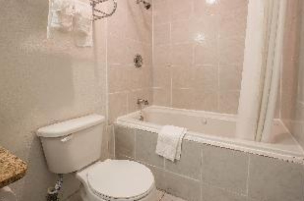 Econo Lodge Fort Jackson Image 20
