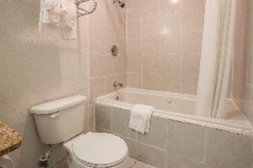 Econo Lodge Fort Jackson image 20