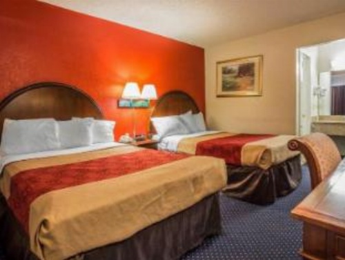 Econo Lodge Fort Jackson image 21