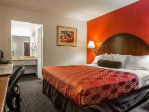 Econo Lodge Fort Jackson image 22